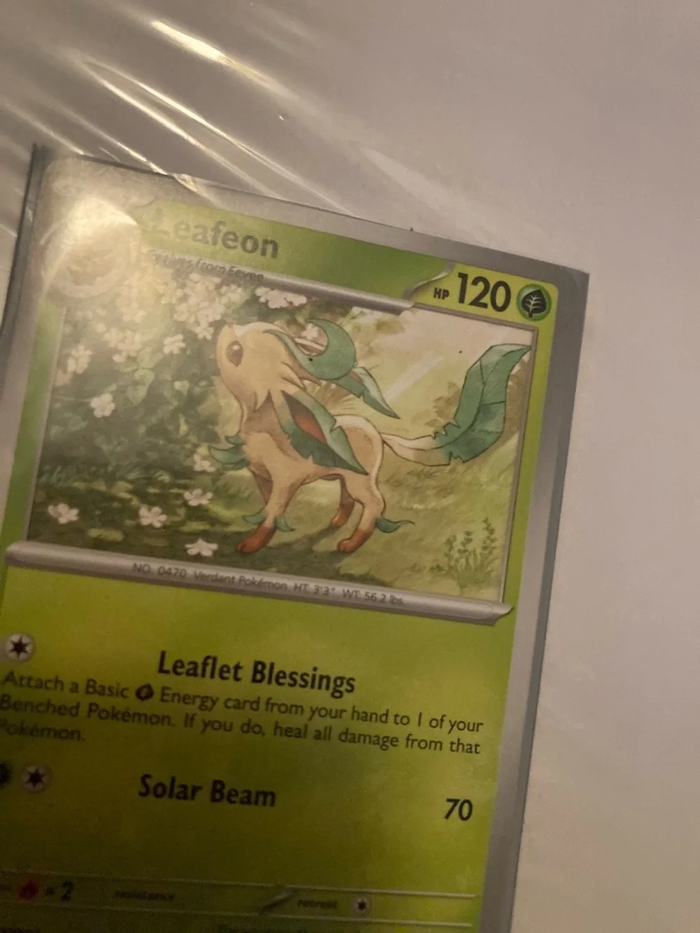 Pokemon Leafeon Green Trading Card and sleeve